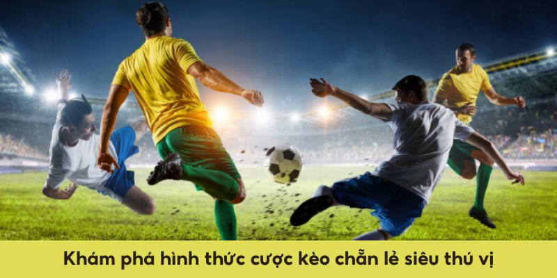 Khám phá hình thức cược kèo chẵn lẻ siêu thú vị