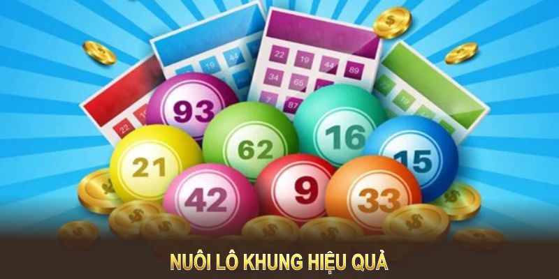 Nuôi lô khung hiệu quả cần tăng bước lựa chọn lô và khung thời gian.