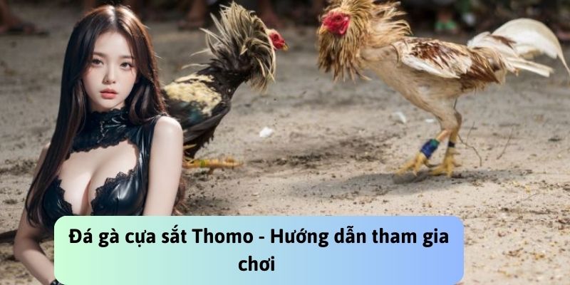 Đá gà cựa sắt được xem là trải nghiệm hấp dẫn thu hút người chơi 