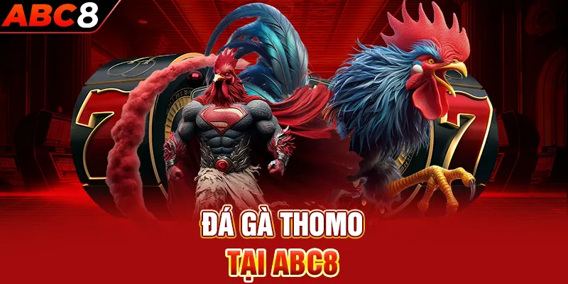 đá gà thomo tại ABC8