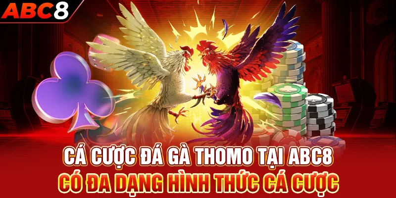 Cá cược đá gà thomo tại ABC8 có đa dạng hình thức cá cược