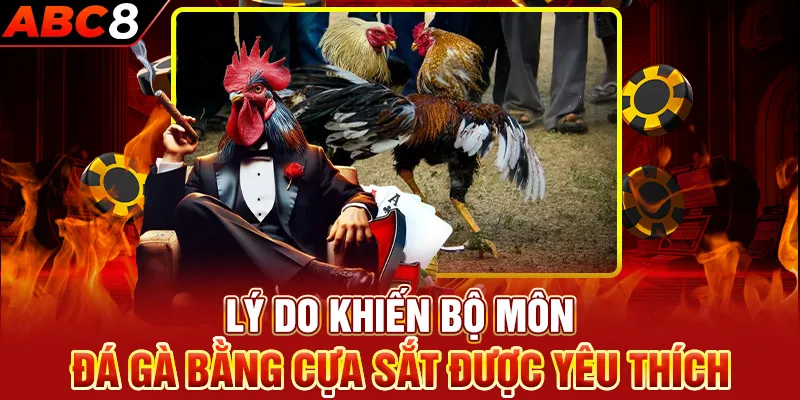 Lý do khiến bộ môn đá gà bằng cựa sắt được yêu thích