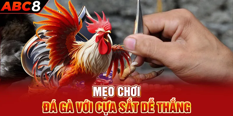 Mẹo chơi đá gà với cựa sắt dễ thắng