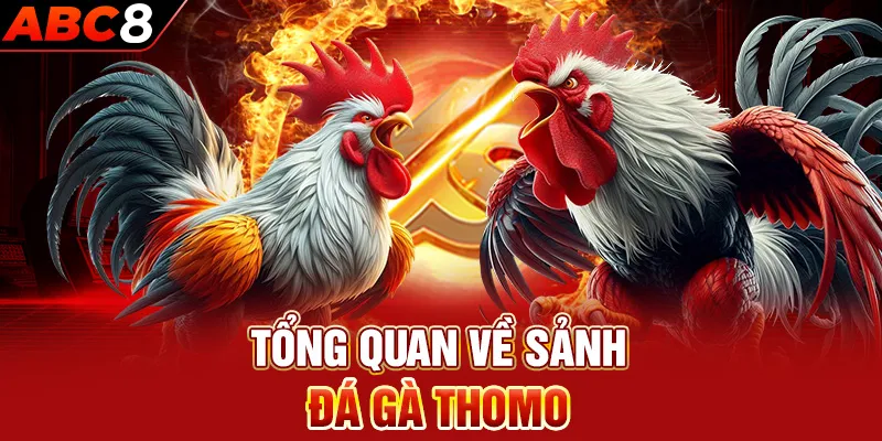 Tổng quan về sảnh đá gà thomo